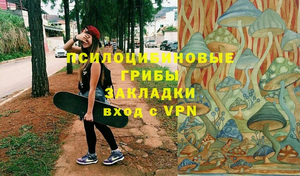 Альфа ПВП Новодвинск