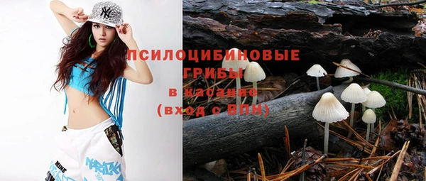 Альфа ПВП Новодвинск